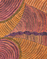 Aboriginal Artwork by Grace Napangardi Butcher, Pikilyi Jukurrpa (Vaughan Springs Dreaming), 91x61cm
