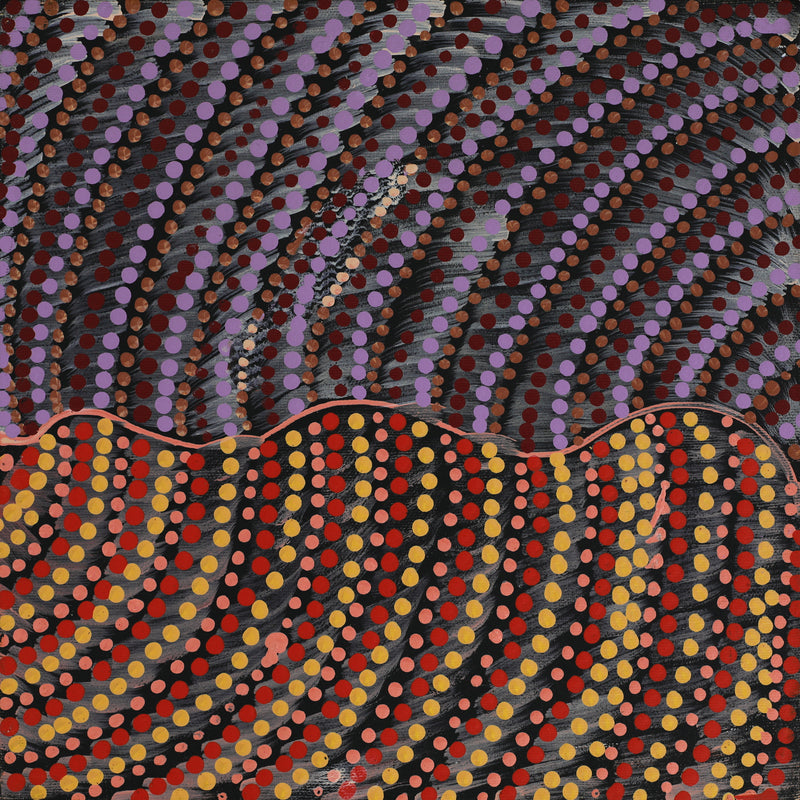 Aboriginal Artwork by Grace Napangardi Butcher, Pikilyi Jukurrpa (Vaughan Springs Dreaming), 30x30cm