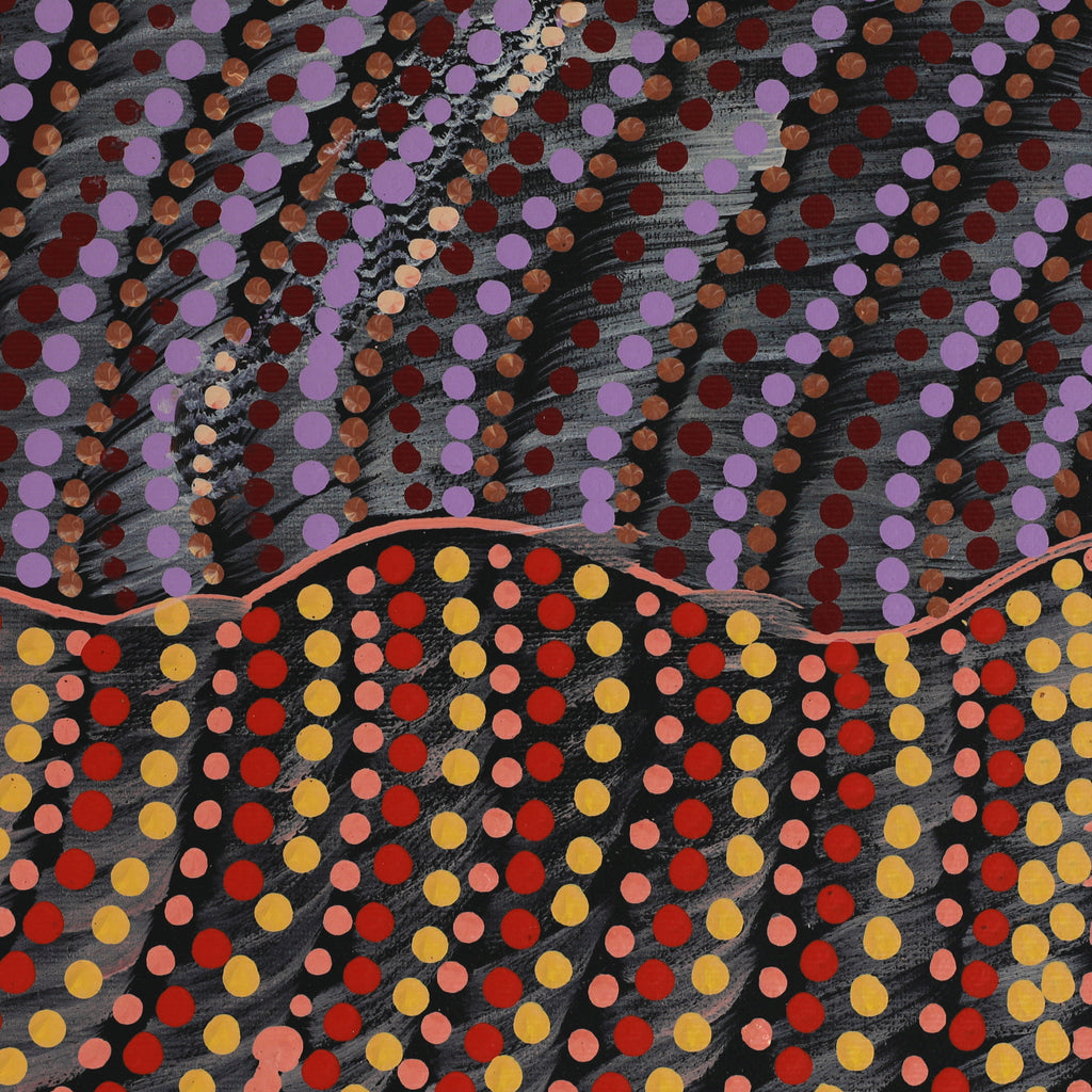 Aboriginal Artwork by Grace Napangardi Butcher, Pikilyi Jukurrpa (Vaughan Springs Dreaming), 30x30cm