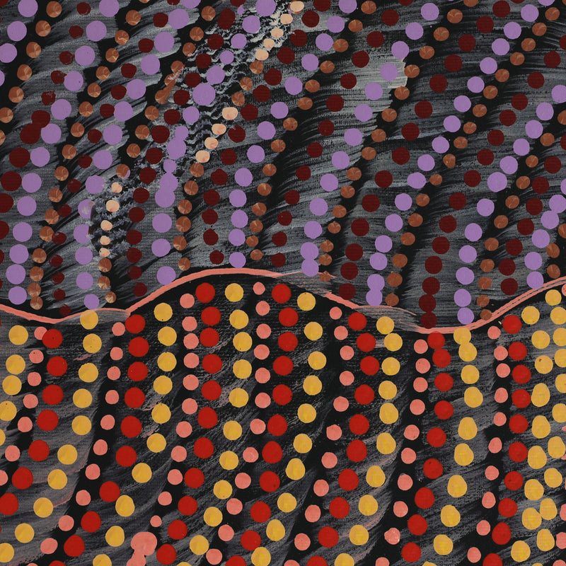 Aboriginal Artwork by Grace Napangardi Butcher, Pikilyi Jukurrpa (Vaughan Springs Dreaming), 30x30cm