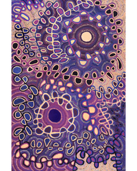 Aboriginal Artwork by Gayle Napangardi Gibson, Mina Mina Jukurrpa - Ngalyipi, 183x122cm