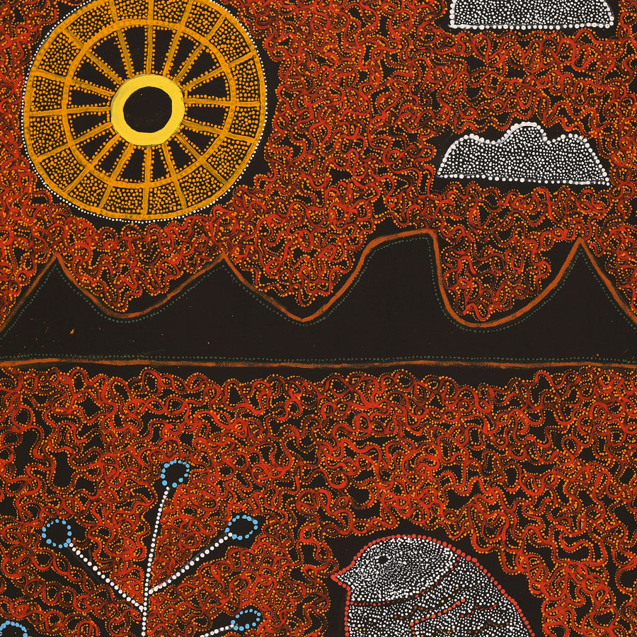 Aboriginal Artwork by Geraldine Napangardi Granites, Jurlpu kuja kalu nyinami Yurntumu-wana (Birds that live around Yuendumu), 107x76cm