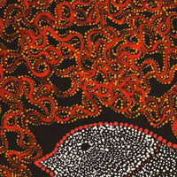 Aboriginal Artwork by Geraldine Napangardi Granites, Jurlpu kuja kalu nyinami Yurntumu-wana (Birds that live around Yuendumu), 107x76cm