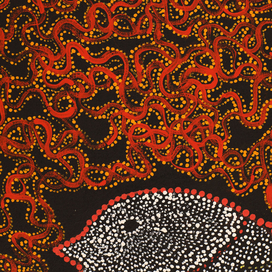 Aboriginal Artwork by Geraldine Napangardi Granites, Jurlpu kuja kalu nyinami Yurntumu-wana (Birds that live around Yuendumu), 107x76cm
