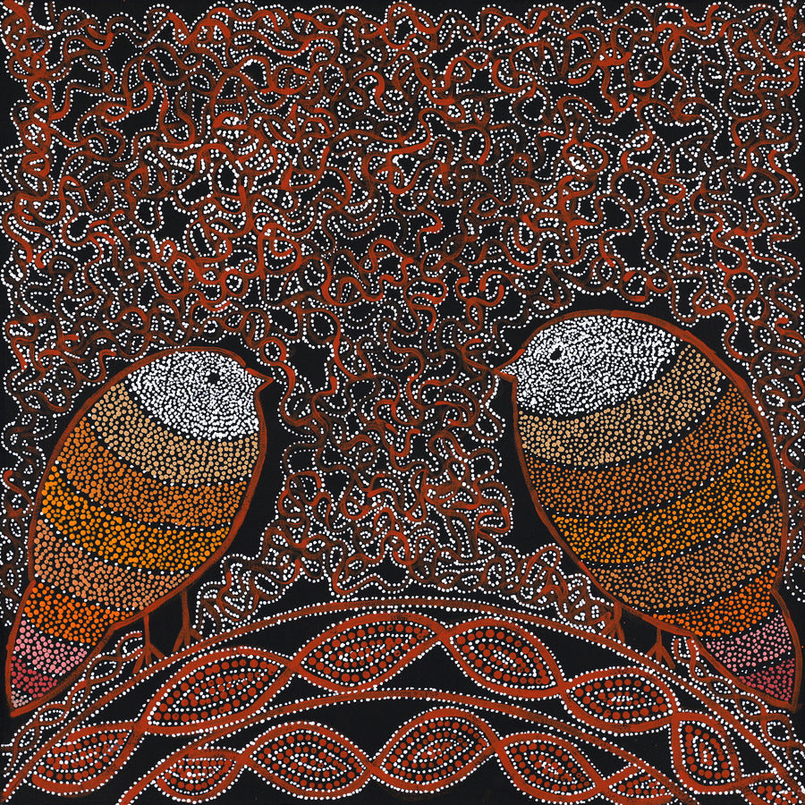 Aboriginal Artwork by Geraldine Napangardi Granites, Jurlpu kuja kalu nyinami Yurntumu-wana (Birds that live around Yuendumu), 46x46cm