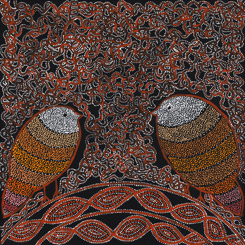 Aboriginal Artwork by Geraldine Napangardi Granites, Jurlpu kuja kalu nyinami Yurntumu-wana (Birds that live around Yuendumu), 46x46cm