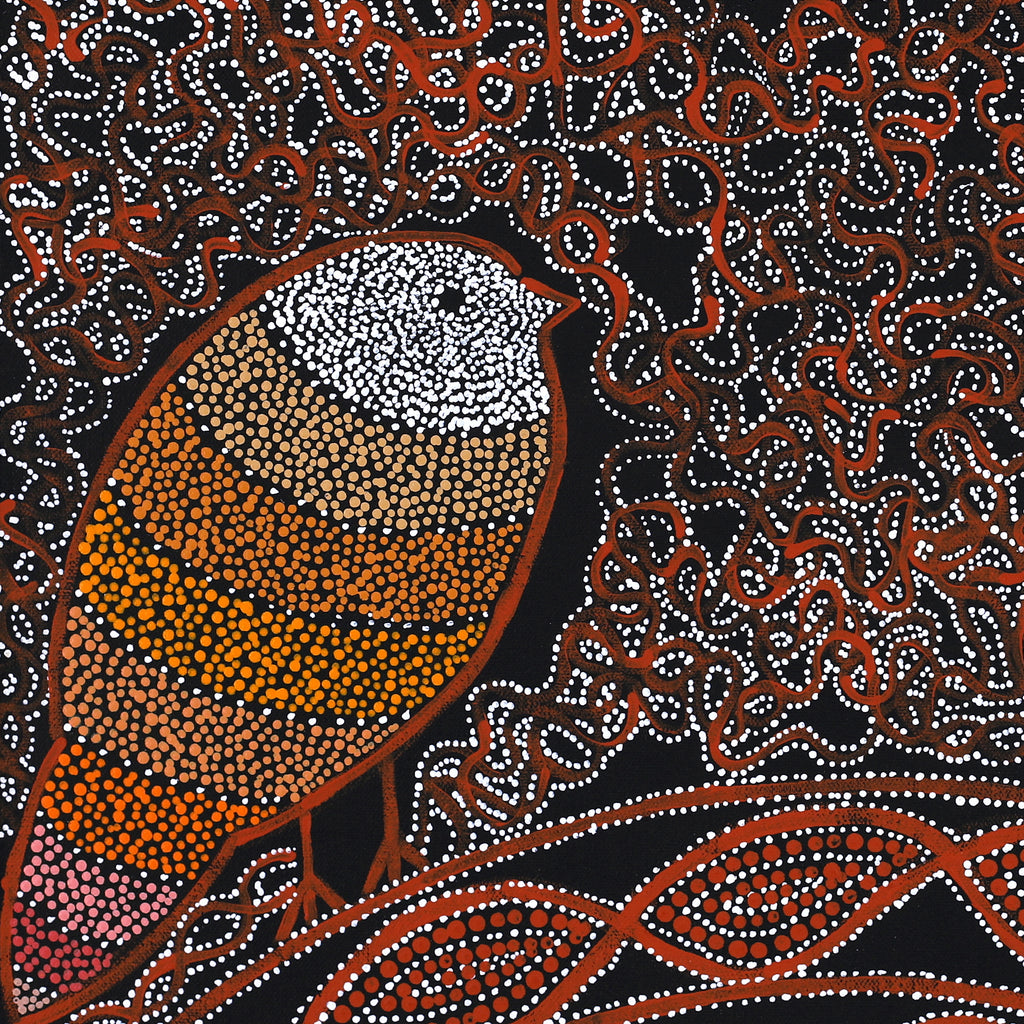Aboriginal Artwork by Geraldine Napangardi Granites, Jurlpu kuja kalu nyinami Yurntumu-wana (Birds that live around Yuendumu), 46x46cm