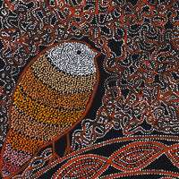 Aboriginal Artwork by Geraldine Napangardi Granites, Jurlpu kuja kalu nyinami Yurntumu-wana (Birds that live around Yuendumu), 46x46cm