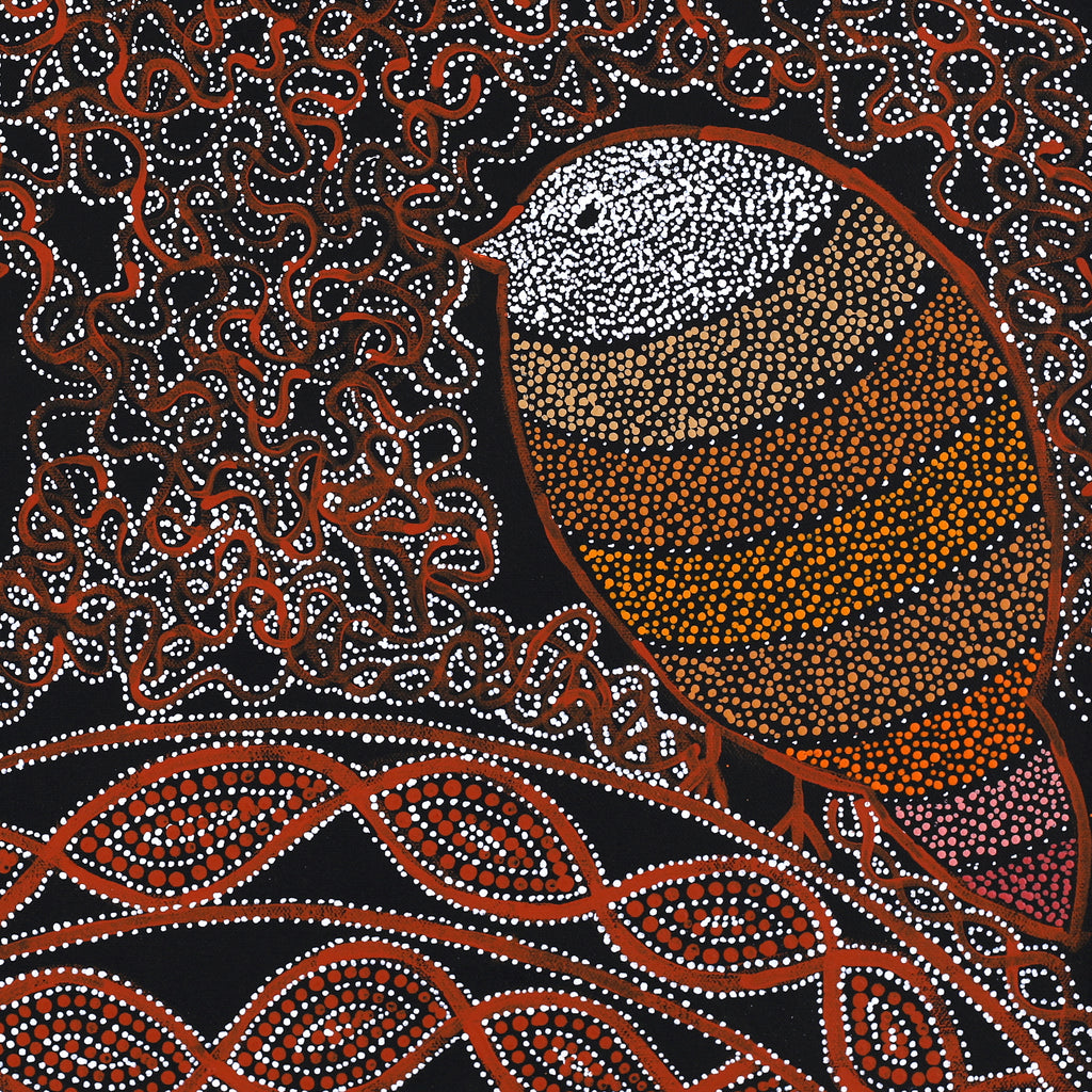 Aboriginal Artwork by Geraldine Napangardi Granites, Jurlpu kuja kalu nyinami Yurntumu-wana (Birds that live around Yuendumu), 46x46cm