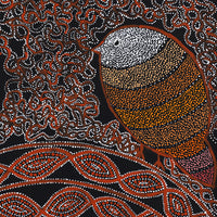 Aboriginal Artwork by Geraldine Napangardi Granites, Jurlpu kuja kalu nyinami Yurntumu-wana (Birds that live around Yuendumu), 46x46cm