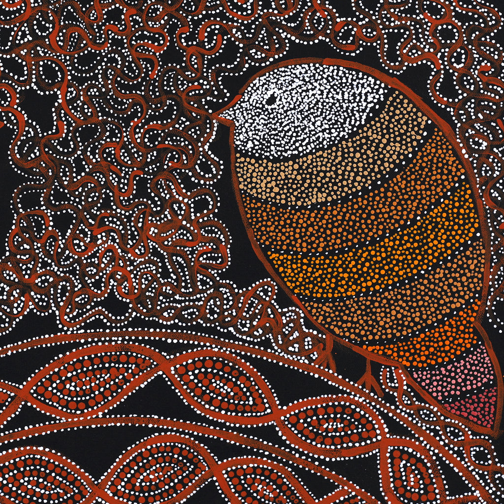 Aboriginal Art by Geraldine Napangardi Granites, Jurlpu kuja kalu nyinami Yurntumu-wana (Birds that live around Yuendumu), 46x46cm - ART ARK®