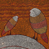 Aboriginal Artwork by Geraldine Napangardi Granites, Ngalyipi Jukurrpa (Snakevine Dreaming) - Mina Mina, 61x61cm