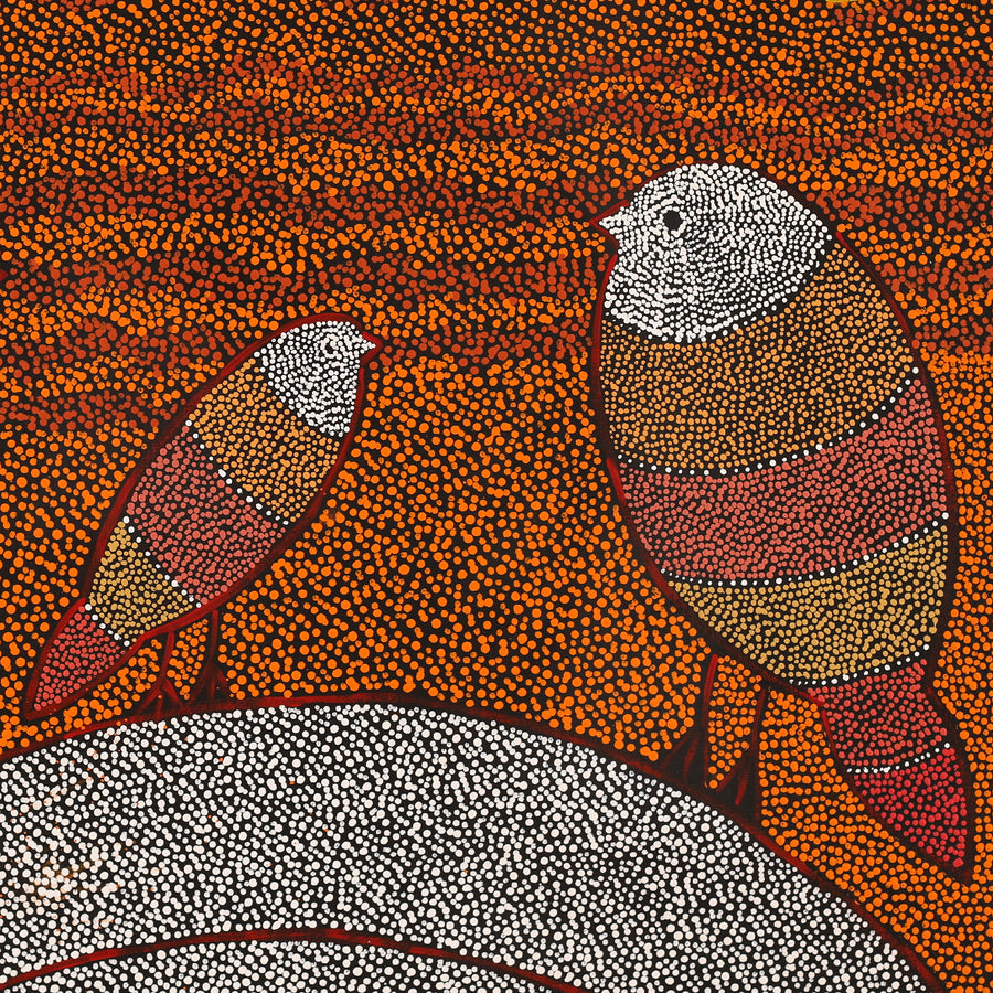 Aboriginal Artwork by Geraldine Napangardi Granites, Ngalyipi Jukurrpa (Snakevine Dreaming) - Mina Mina, 61x61cm