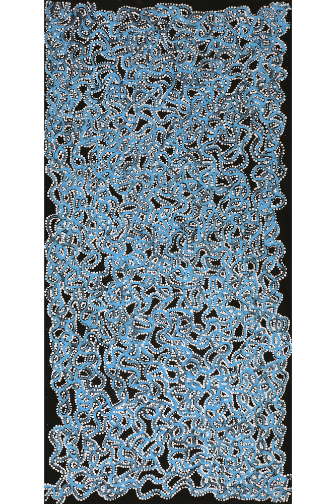 Aboriginal Artwork by Geraldine Napangardi Granites, Ngalyipi Jukurrpa (Snake Vine Dreaming) - Purturlu, 61x30cm
