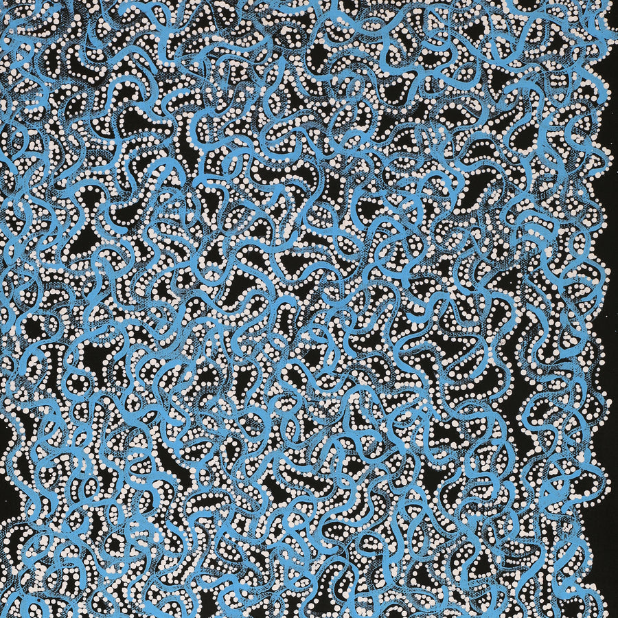 Aboriginal Artwork by Geraldine Napangardi Granites, Ngalyipi Jukurrpa (Snake Vine Dreaming) - Purturlu, 61x30cm