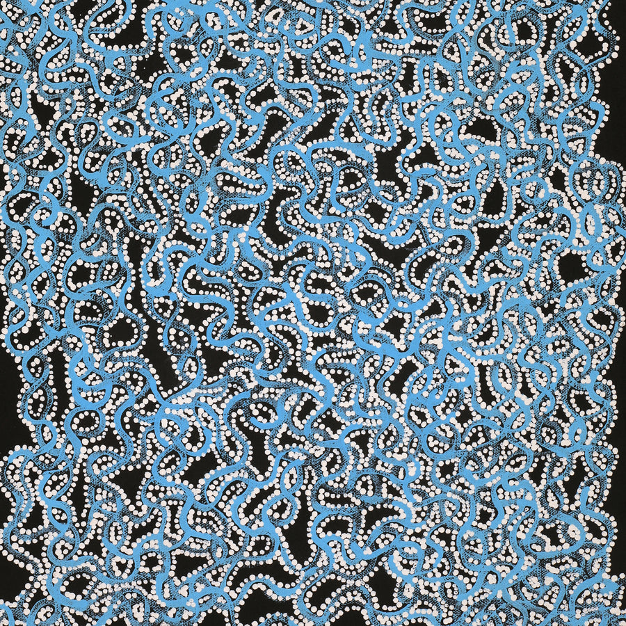 Aboriginal Artwork by Geraldine Napangardi Granites, Ngalyipi Jukurrpa (Snake Vine Dreaming) - Purturlu, 61x30cm