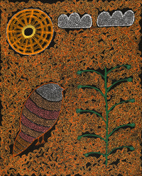 Aboriginal Artwork by Geraldine Napangardi Granites, Jurlpu kuja kalu nyinami Yurntumu-wana (Birds that live around Yuendumu), 76x61cm