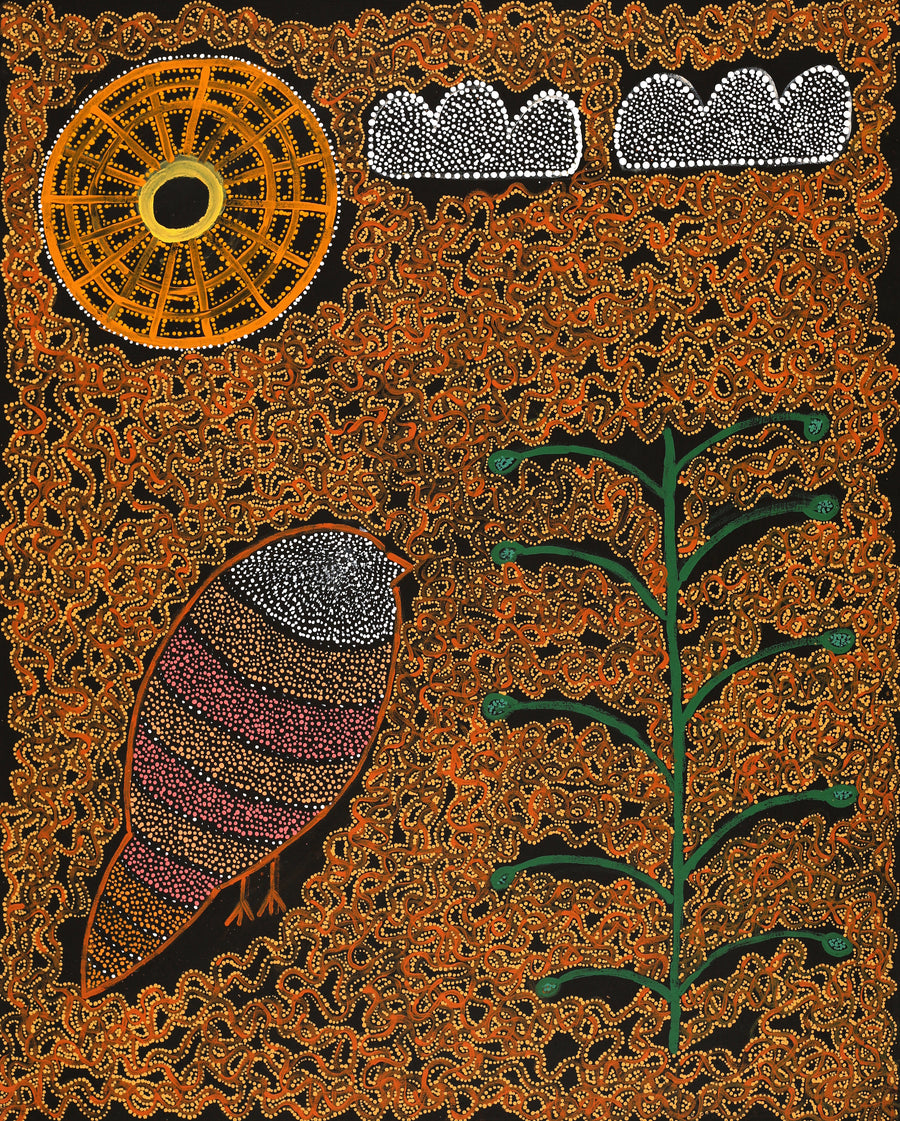 Aboriginal Artwork by Geraldine Napangardi Granites, Jurlpu kuja kalu nyinami Yurntumu-wana (Birds that live around Yuendumu), 76x61cm