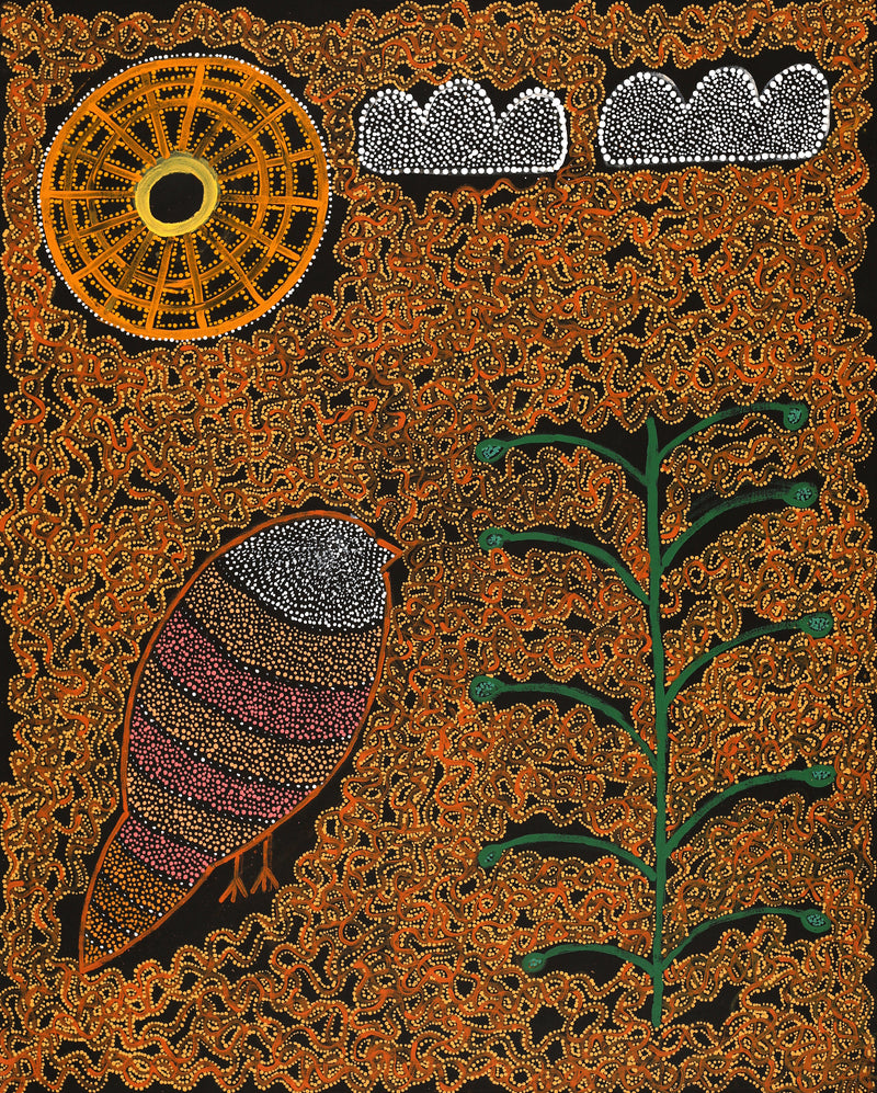 Aboriginal Artwork by Geraldine Napangardi Granites, Jurlpu kuja kalu nyinami Yurntumu-wana (Birds that live around Yuendumu), 76x61cm