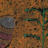 Aboriginal Artwork by Geraldine Napangardi Granites, Jurlpu kuja kalu nyinami Yurntumu-wana (Birds that live around Yuendumu), 76x61cm