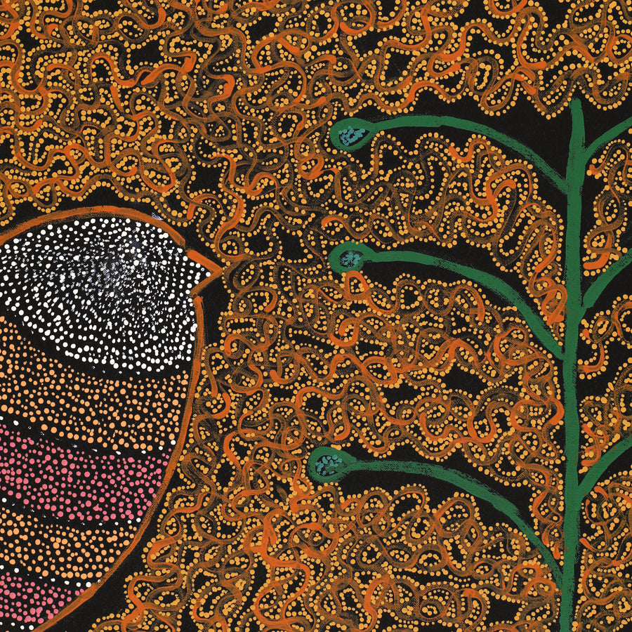 Aboriginal Artwork by Geraldine Napangardi Granites, Jurlpu kuja kalu nyinami Yurntumu-wana (Birds that live around Yuendumu), 76x61cm