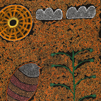 Aboriginal Artwork by Geraldine Napangardi Granites, Jurlpu kuja kalu nyinami Yurntumu-wana (Birds that live around Yuendumu), 76x61cm
