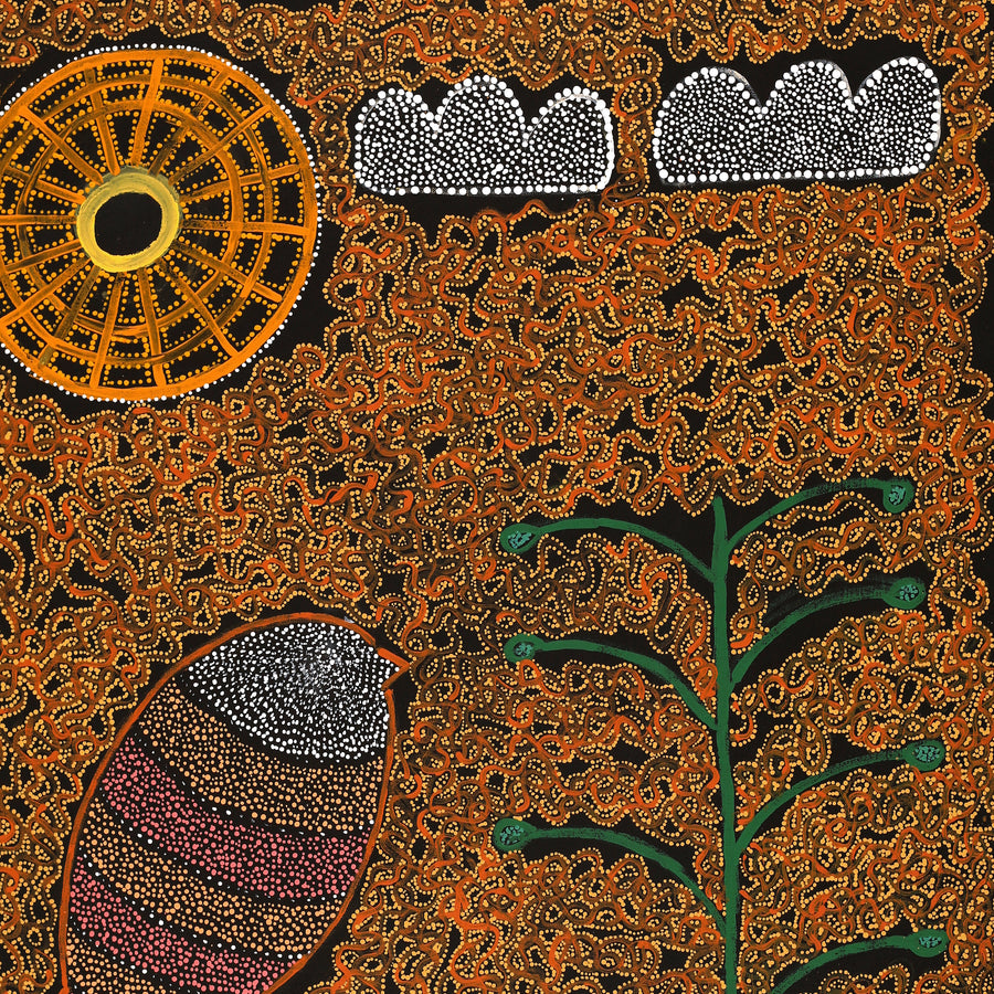 Aboriginal Artwork by Geraldine Napangardi Granites, Jurlpu kuja kalu nyinami Yurntumu-wana (Birds that live around Yuendumu), 76x61cm