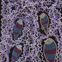 Aboriginal Artwork by Geraldine Napangardi Granites, Ngalyipi Jukurrpa (Snakevine Dreaming) - Mina Mina, 107x61cm