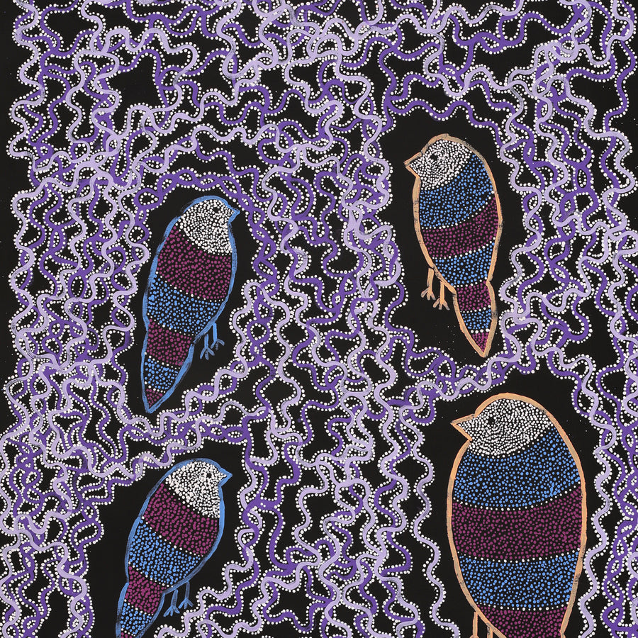 Aboriginal Artwork by Geraldine Napangardi Granites, Ngalyipi Jukurrpa (Snakevine Dreaming) - Mina Mina, 107x61cm