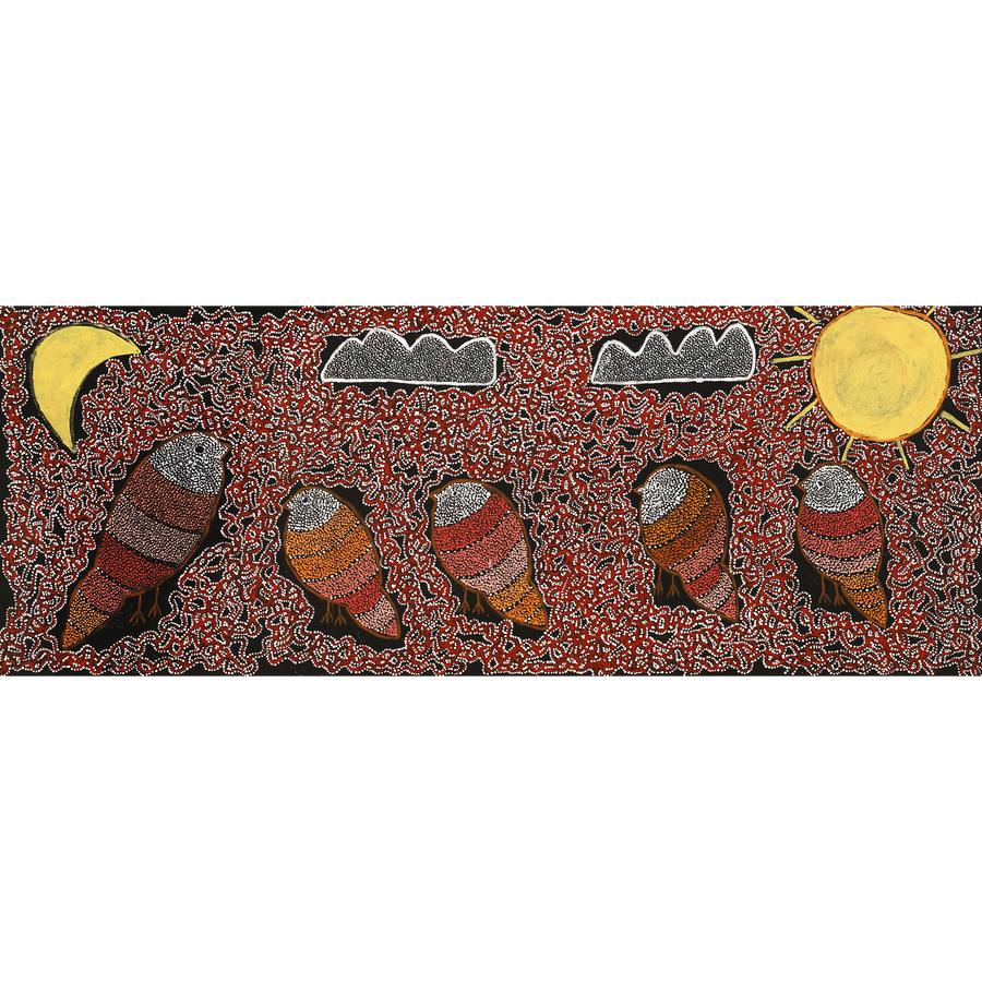 Aboriginal Artwork by Geraldine Napangardi Granites, Jurlpu kuja kalu nyinami Yurntumu-wana (Birds that live around Yuendumu), 122x46cm