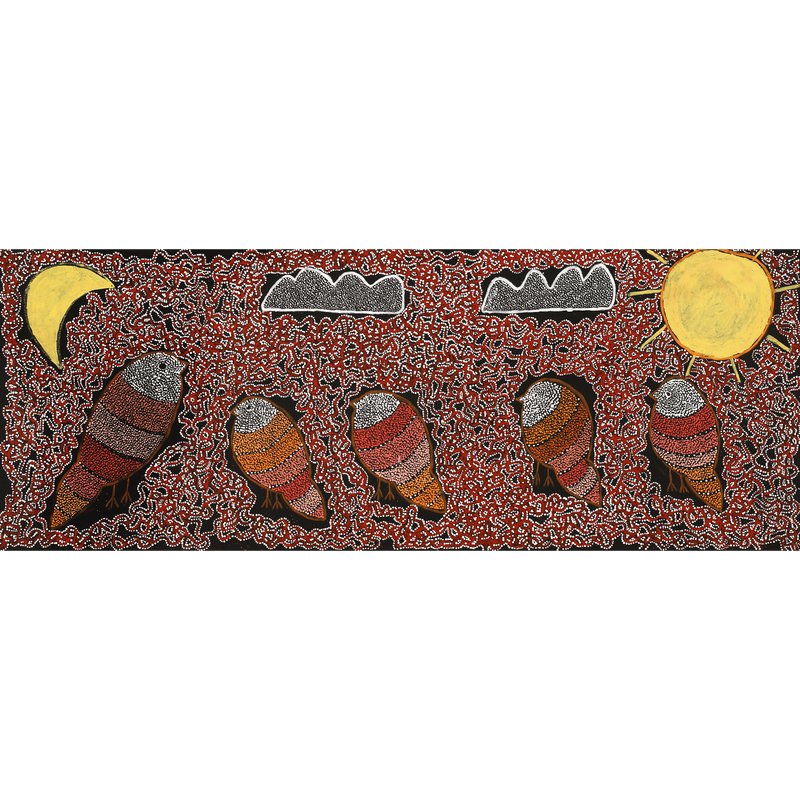 Aboriginal Artwork by Geraldine Napangardi Granites, Jurlpu kuja kalu nyinami Yurntumu-wana (Birds that live around Yuendumu), 122x46cm