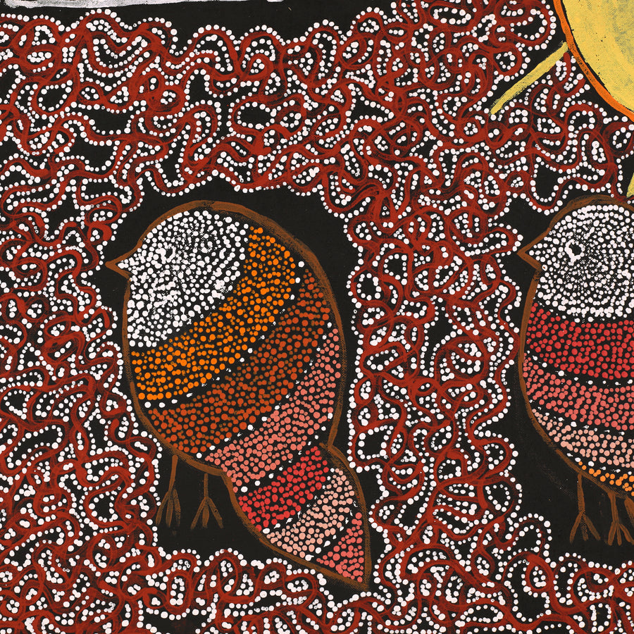 Aboriginal Artwork by Geraldine Napangardi Granites, Jurlpu kuja kalu nyinami Yurntumu-wana (Birds that live around Yuendumu), 122x46cm