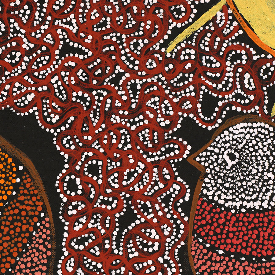 Aboriginal Artwork by Geraldine Napangardi Granites, Jurlpu kuja kalu nyinami Yurntumu-wana (Birds that live around Yuendumu), 122x46cm