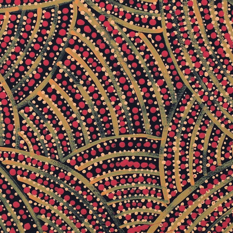 Aboriginal Artwork by Geraldine Napangardi Granites, Ngalyipi Jukurrpa (Snake Vine Dreaming) - Purturlu, 30x30cm