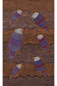 Aboriginal Artwork by Geraldine Napangardi Granites, Jurlpu kuja kalu nyinami Yurntumu-wana (Birds that live around Yuendumu), 76x46cm