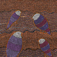 Aboriginal Artwork by Geraldine Napangardi Granites, Jurlpu kuja kalu nyinami Yurntumu-wana (Birds that live around Yuendumu), 76x46cm