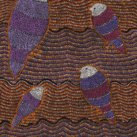 Aboriginal Artwork by Geraldine Napangardi Granites, Jurlpu kuja kalu nyinami Yurntumu-wana (Birds that live around Yuendumu), 76x46cm
