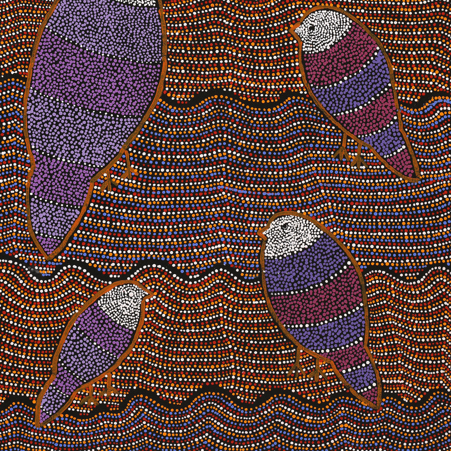 Aboriginal Artwork by Geraldine Napangardi Granites, Jurlpu kuja kalu nyinami Yurntumu-wana (Birds that live around Yuendumu), 76x46cm