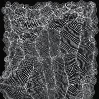 Aboriginal Artwork by Geraldine Napangardi Granites, Ngalyipi Jukurrpa (Snakevine Dreaming) - Mina Mina, 91x46cm
