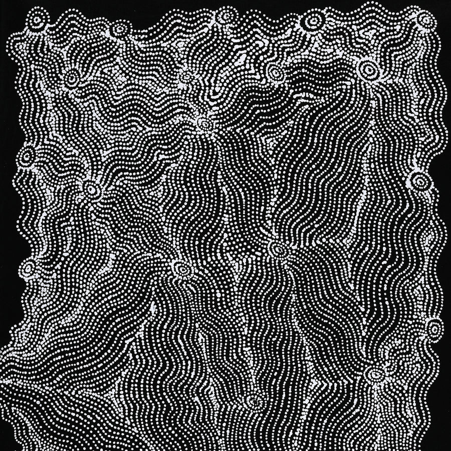 Aboriginal Artwork by Geraldine Napangardi Granites, Ngalyipi Jukurrpa (Snakevine Dreaming) - Mina Mina, 91x46cm