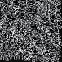 Aboriginal Artwork by Geraldine Napangardi Granites, Ngalyipi Jukurrpa (Snakevine Dreaming) - Mina Mina, 91x46cm