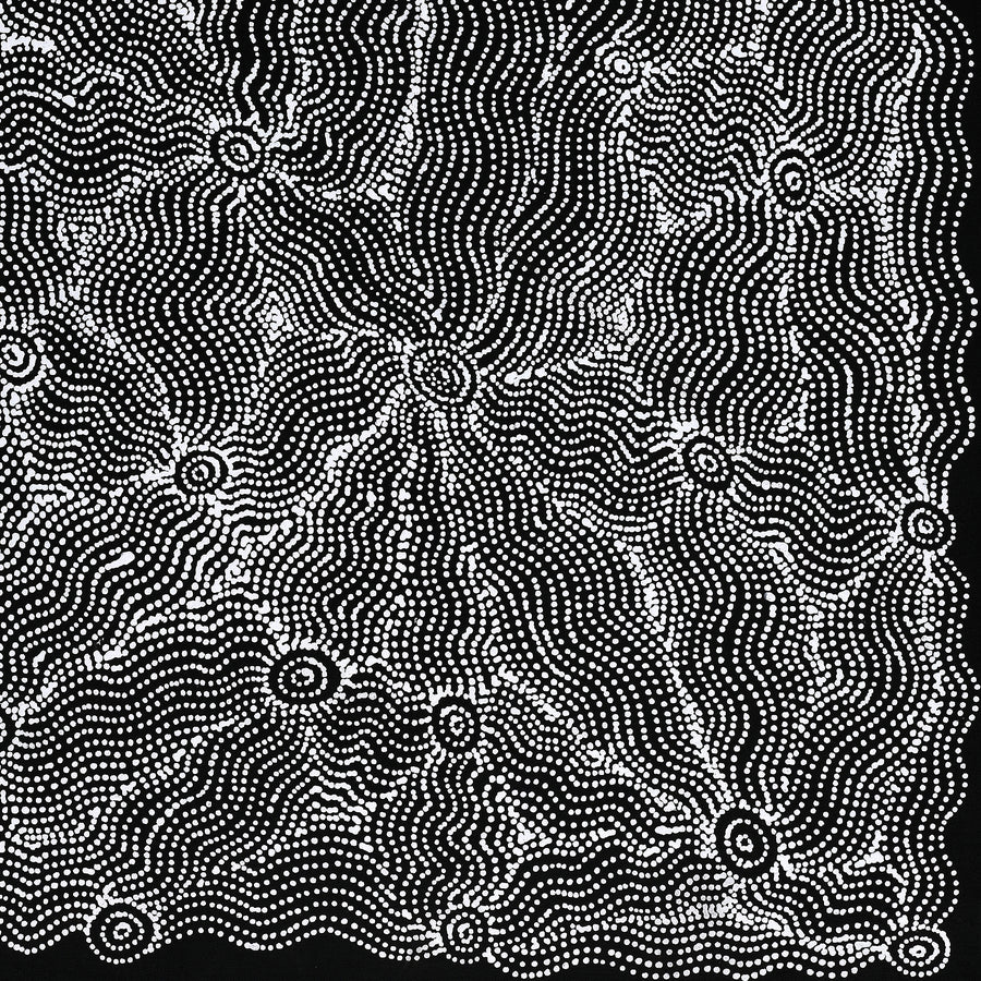 Aboriginal Artwork by Geraldine Napangardi Granites, Ngalyipi Jukurrpa (Snakevine Dreaming) - Mina Mina, 91x46cm