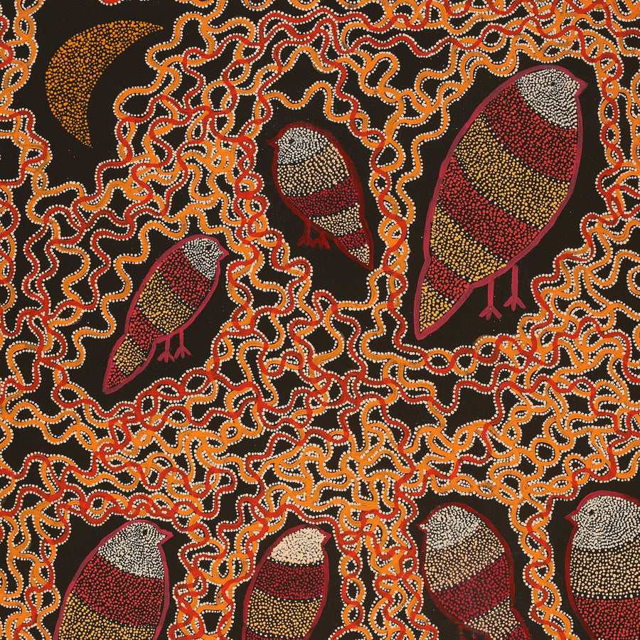 Aboriginal Artwork by Geraldine Napangardi Granites, Ngalyipi Jukurrpa (Snakevine Dreaming) - Mina Mina, 91x76cm