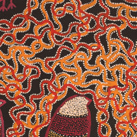 Aboriginal Art by Geraldine Napangardi Granites, Ngalyipi Jukurrpa (Snakevine Dreaming) - Mina Mina, 91x76cm - ART ARK®