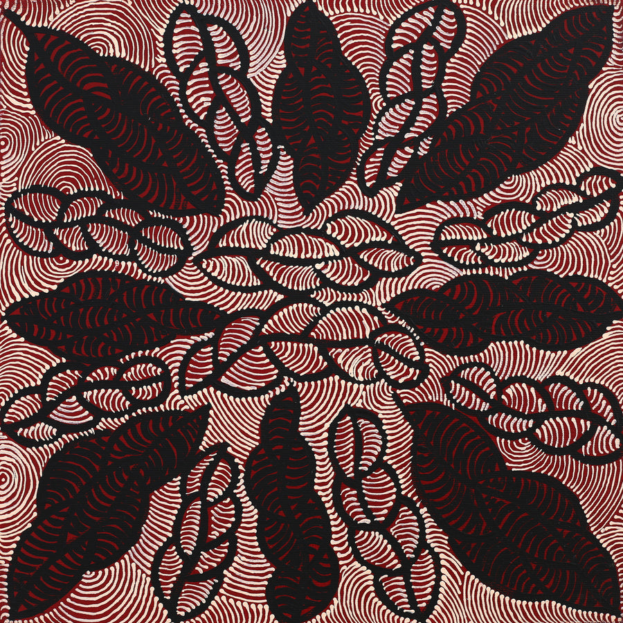 Aboriginal Artwork by Geraldine Napurrurla Langdon, Ngurlu Jukurrpa (Native Seed Dreaming), 30x30cm