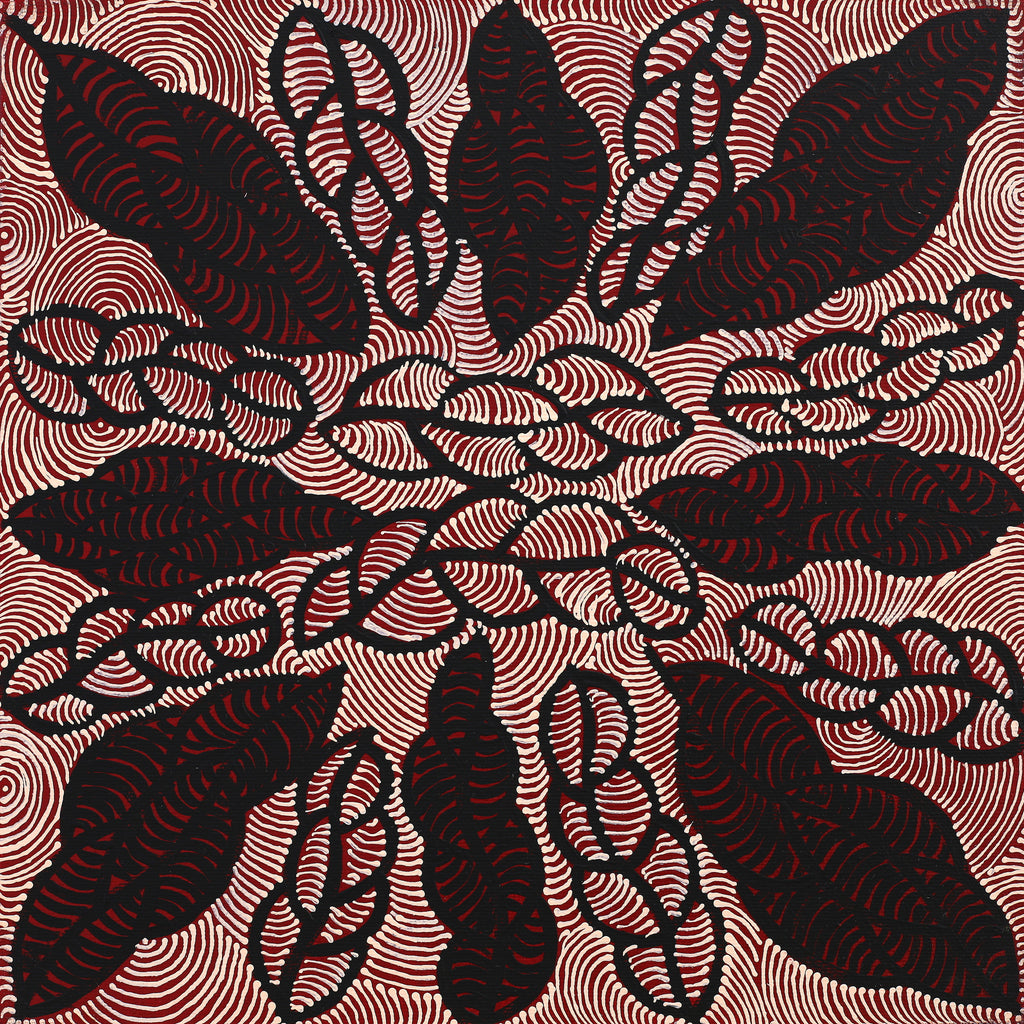 Aboriginal Art by Geraldine Napurrurla Langdon, Ngurlu Jukurrpa (Native Seed Dreaming), 30x30cm - ART ARK®