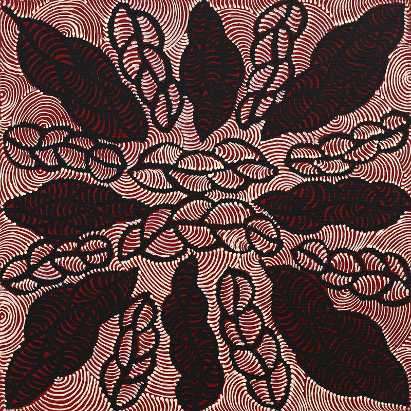 Aboriginal Artwork by Geraldine Napurrurla Langdon, Ngurlu Jukurrpa (Native Seed Dreaming), 30x30cm