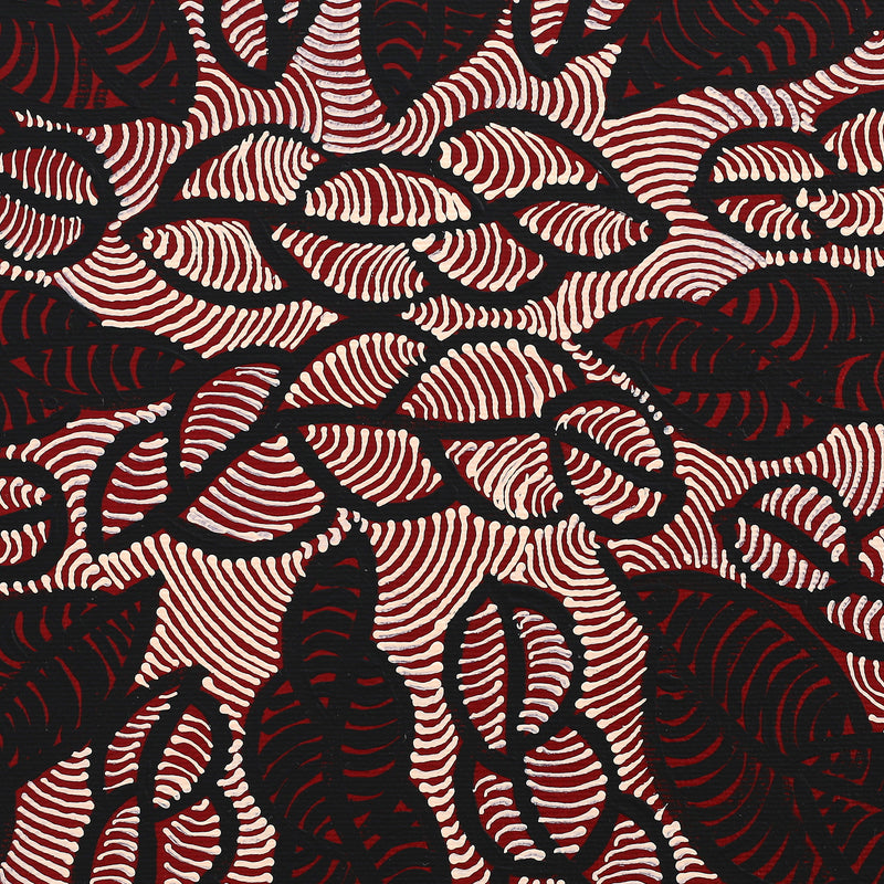 Aboriginal Artwork by Geraldine Napurrurla Langdon, Ngurlu Jukurrpa (Native Seed Dreaming), 30x30cm