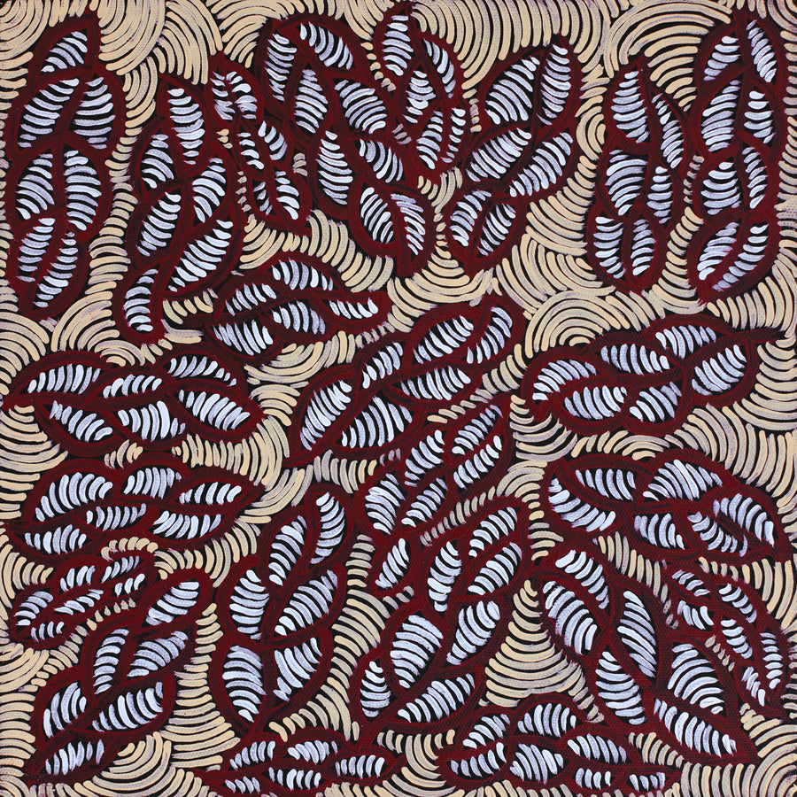 Aboriginal Artwork by Geraldine Napurrurla Langdon, Ngurlu Jukurrpa (Native Seed Dreaming), 30x30cm