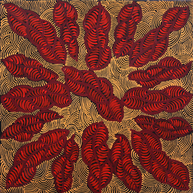 Aboriginal Artwork by Geraldine Napurrurla Langdon, Ngurlu Jukurrpa (Native Seed Dreaming), 30x30cm